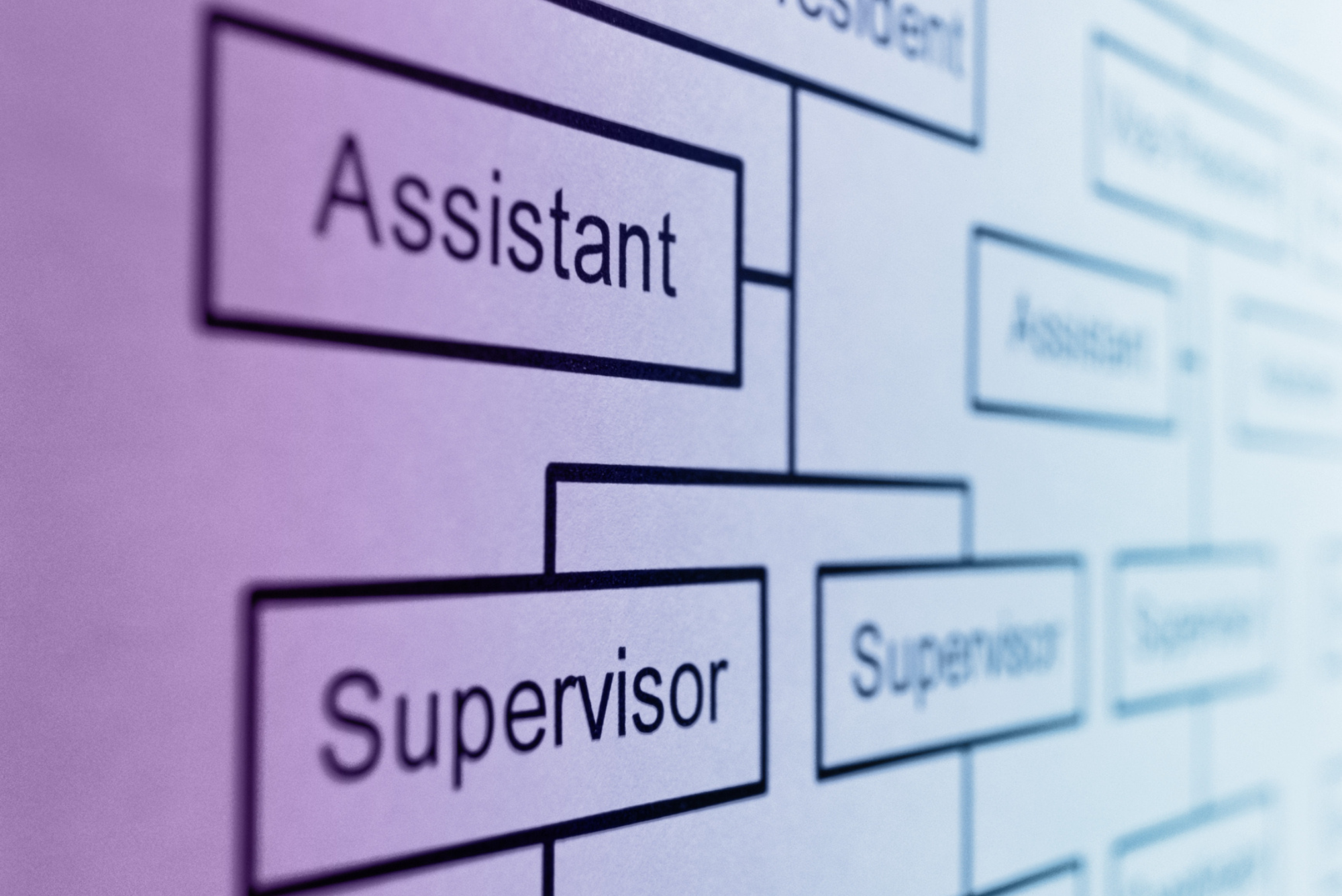 A close-up of several job titles in a company’s organizational chart.