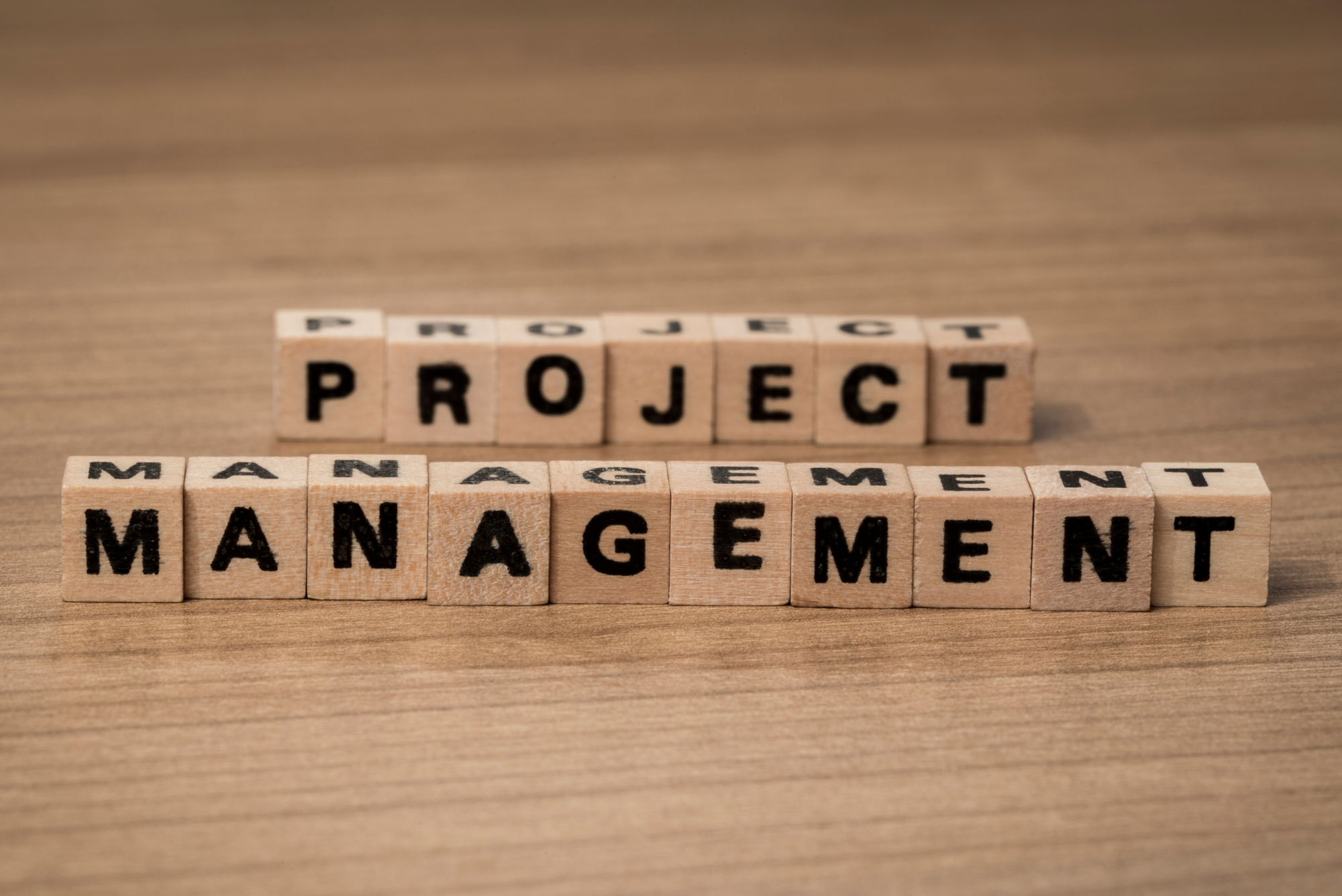 Small wooden blocks spell out the words “Project Management” in two rows on a wooden table top.